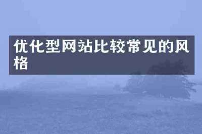 优化型网站比较常见的风格