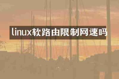 linux软路由限制网速吗