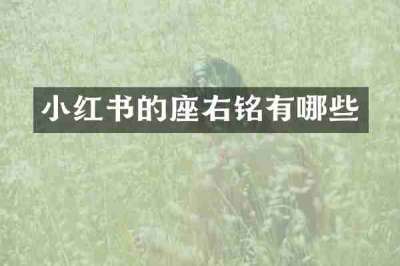 小红书的座右铭有哪些
