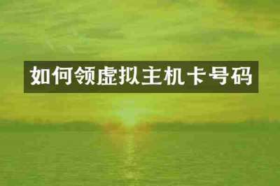 如何领虚拟主机卡号码
