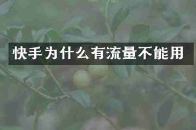 快手为什么有流量不能用