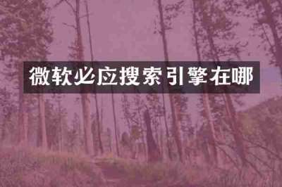 微软必应搜索引擎在哪