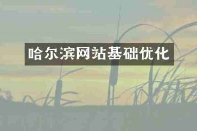 哈尔滨网站基础优化