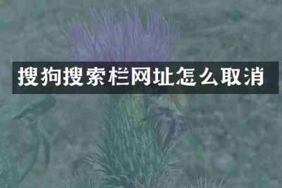 搜狗搜索栏网址怎么取消