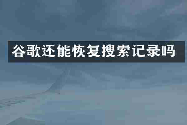 谷歌还能恢复搜索记录吗