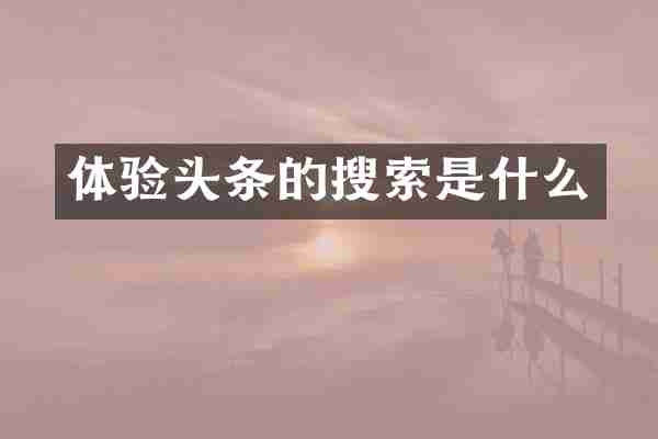 体验头条的搜索是什么