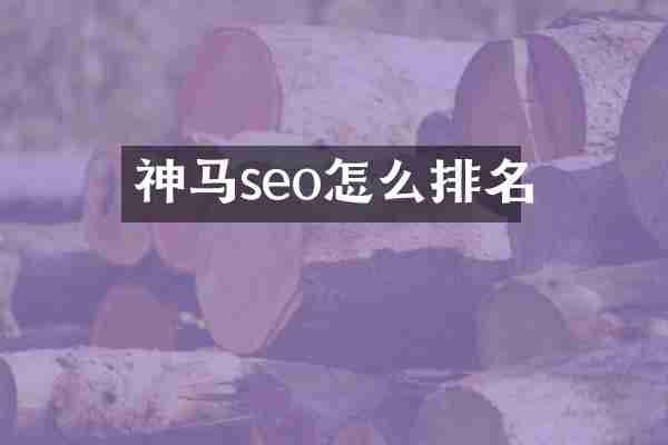 神马seo怎么排名