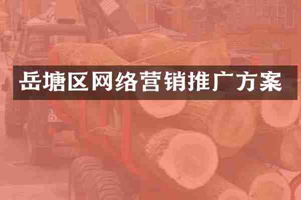 岳塘区网络营销推广方案