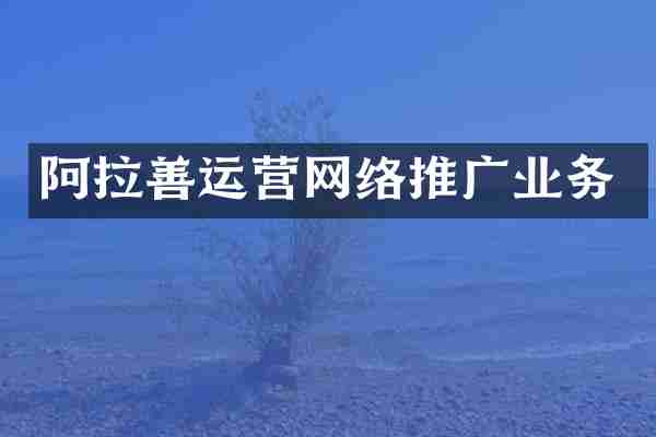 阿拉善运营网络推广业务