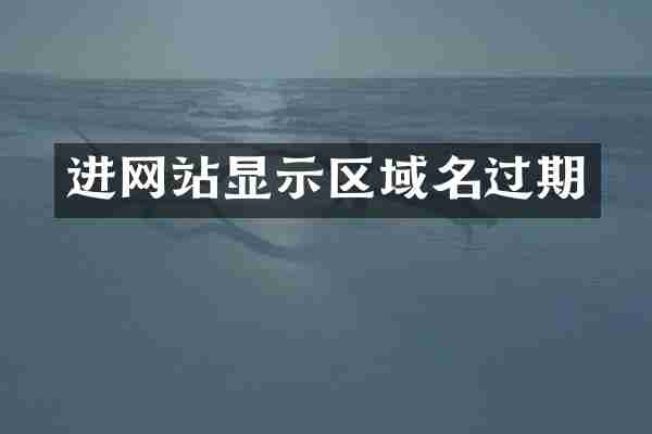 进网站显示区域名过期