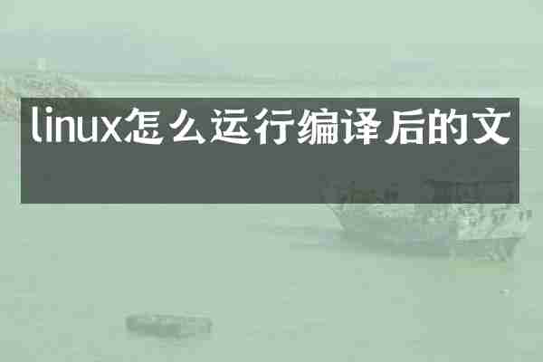 linux怎么运行编译后的文件