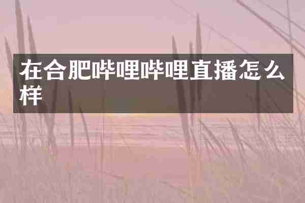 在合肥哔哩哔哩直播怎么样