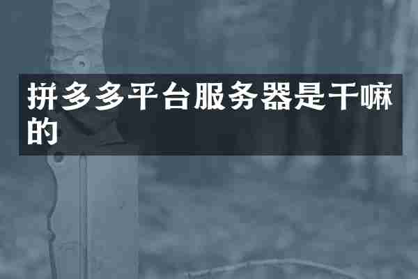 拼多多平台服务器是干嘛的