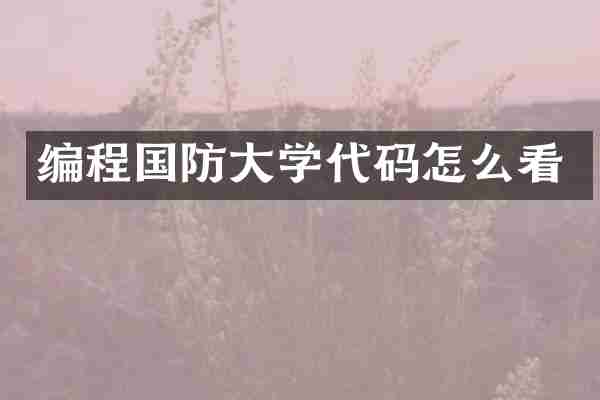 编程国防大学代码怎么看
