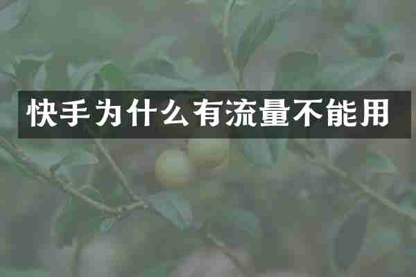快手为什么有流量不能用
