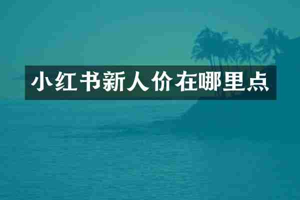 小红书新人价在哪里点
