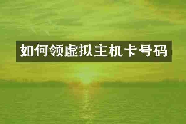 如何领虚拟主机卡号码