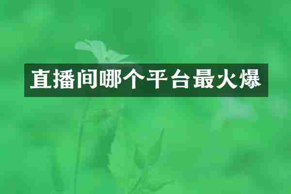 直播间哪个平台最火爆