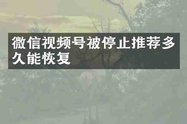 微信视频号被停止推荐多久能恢复