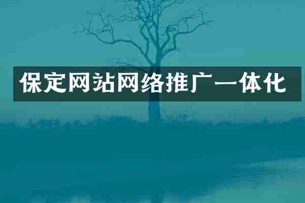 保定网站网络推广一体化