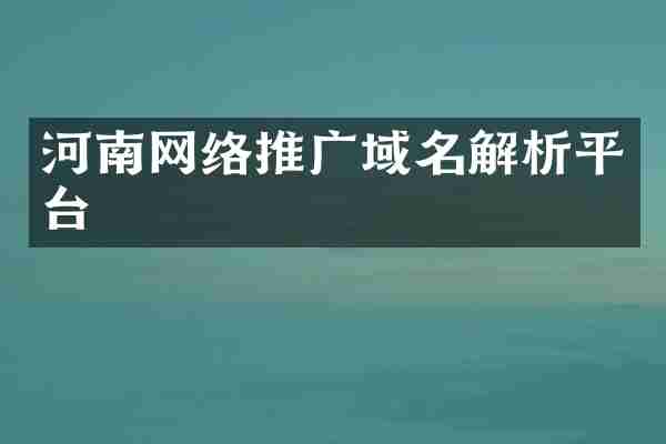 河南网络推广域名解析平台