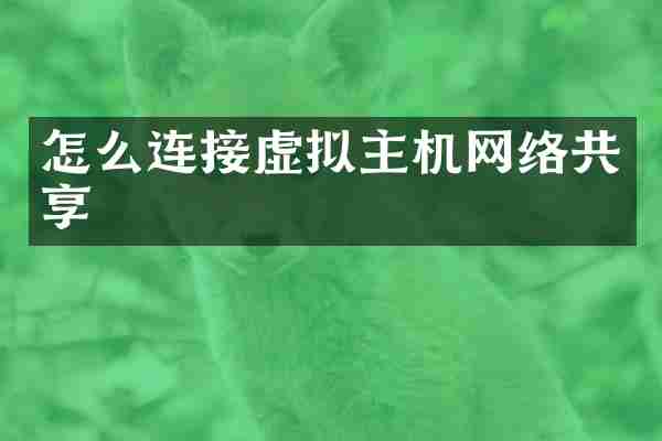 怎么连接虚拟主机网络共享