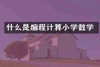 什么是编程计算小学数学
