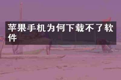 苹果手机为何下载不了软件