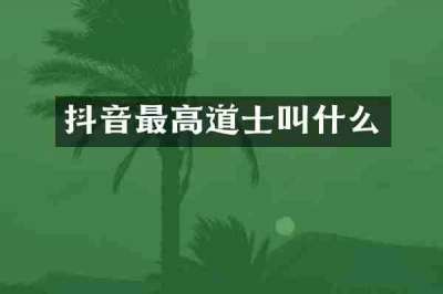 抖音最高道士叫什么