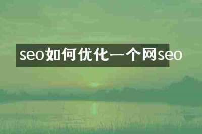 seo如何优化一个网seo