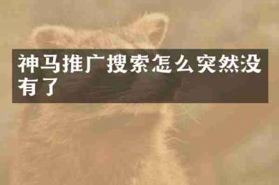 神马推广搜索怎么突然没有了