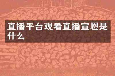 直播平台观看直播宣恩是什么