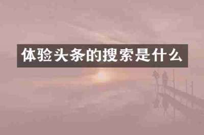 体验头条的搜索是什么