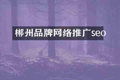 郴州品牌网络推广seo