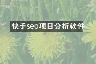 快手seo项目分析软件