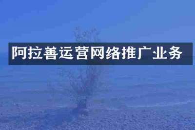 阿拉善运营网络推广业务