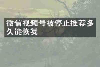 微信视频号被停止推荐多久能恢复
