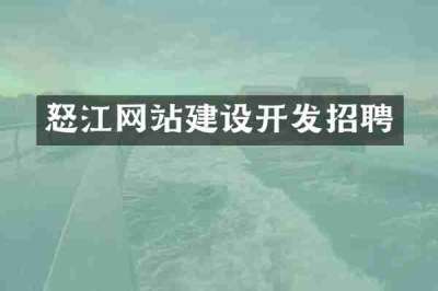 怒江网站建设开发招聘