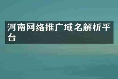 河南网络推广域名解析平台