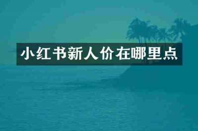小红书新人价在哪里点