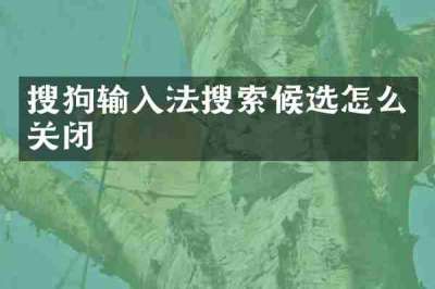 搜狗输入法搜索候选怎么关闭
