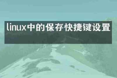 linux中的保存快捷键设置吗