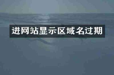 进网站显示区域名过期