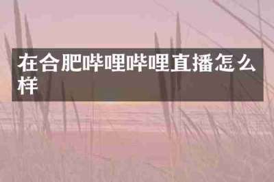 在合肥哔哩哔哩直播怎么样