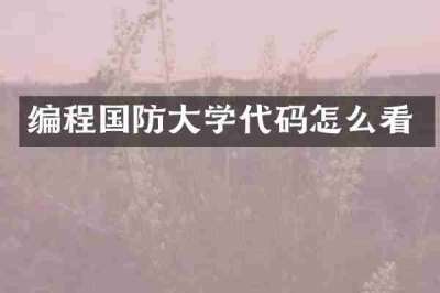 编程国防大学代码怎么看