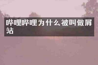 哔哩哔哩为什么被叫做屑站