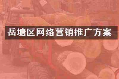岳塘区网络营销推广方案