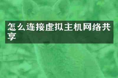 怎么连接虚拟主机网络共享