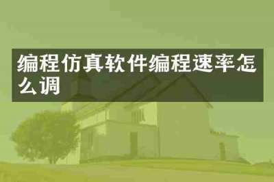 编程仿真软件编程速率怎么调