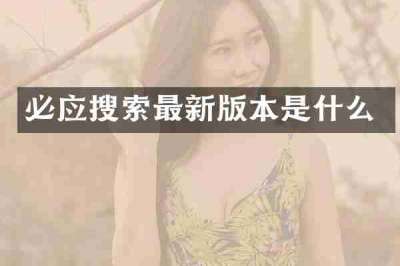 必应搜索最新版本是什么
